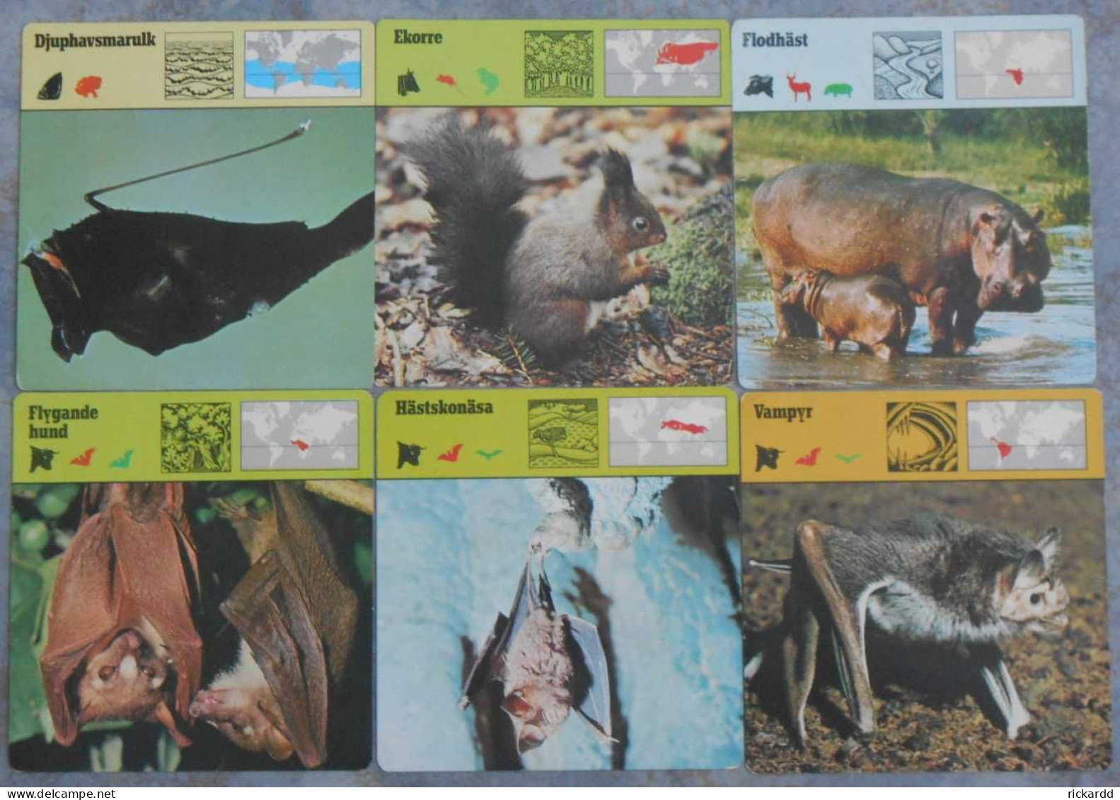 Editions Rencontre; 6 Cards With Bats, Fishes And Mammals (in Swedish) - Dieren