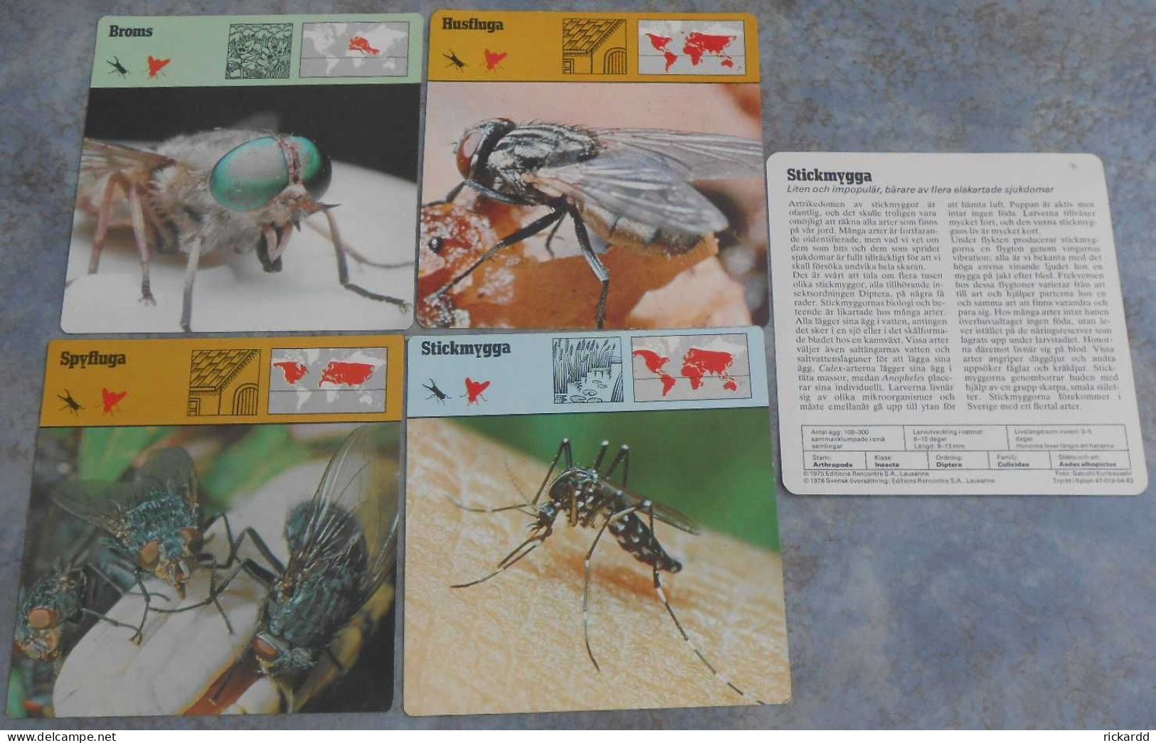 Editions Rencontre; 5 Cards (4 Different) With Flies And Mosquitoes (in Swedish) - Dieren