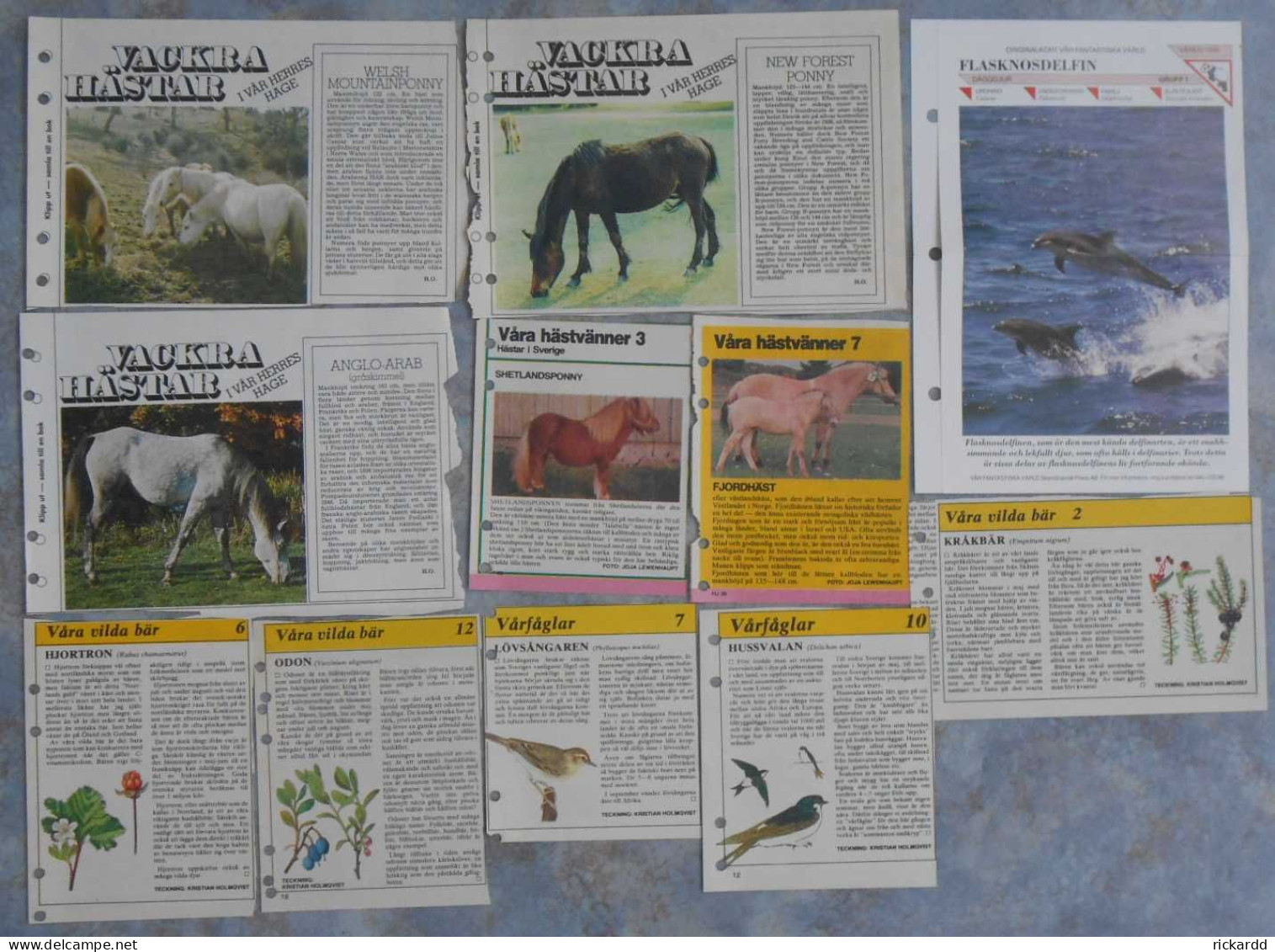 Clippings From Weekly Newspapers, For Instance Horses (in Swedish) - Dieren