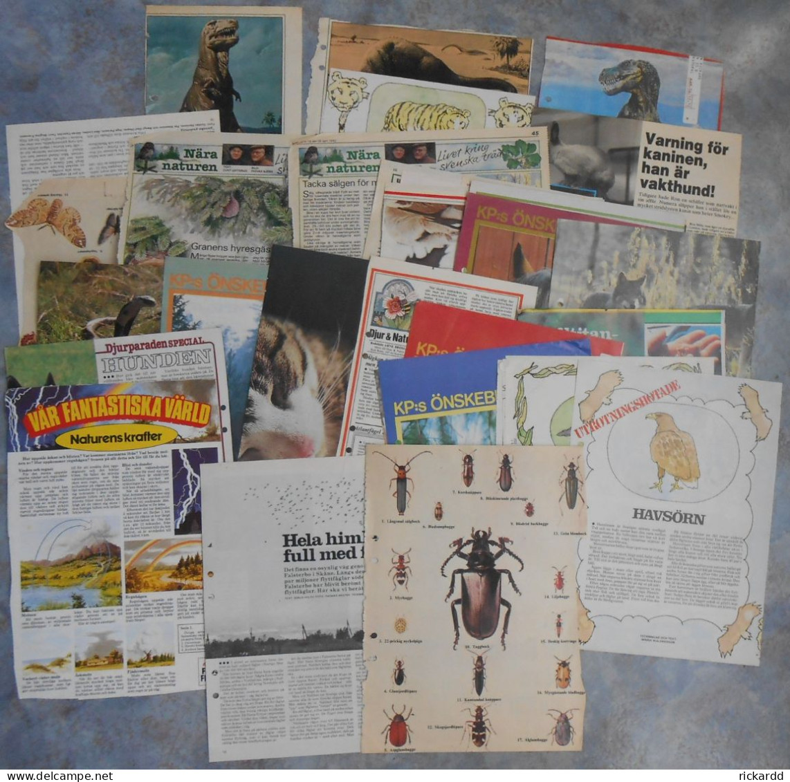 Lot Of Newspaper Clippings; Animals & Nature Around 35-45 Years Old (in Swedish) - Dieren