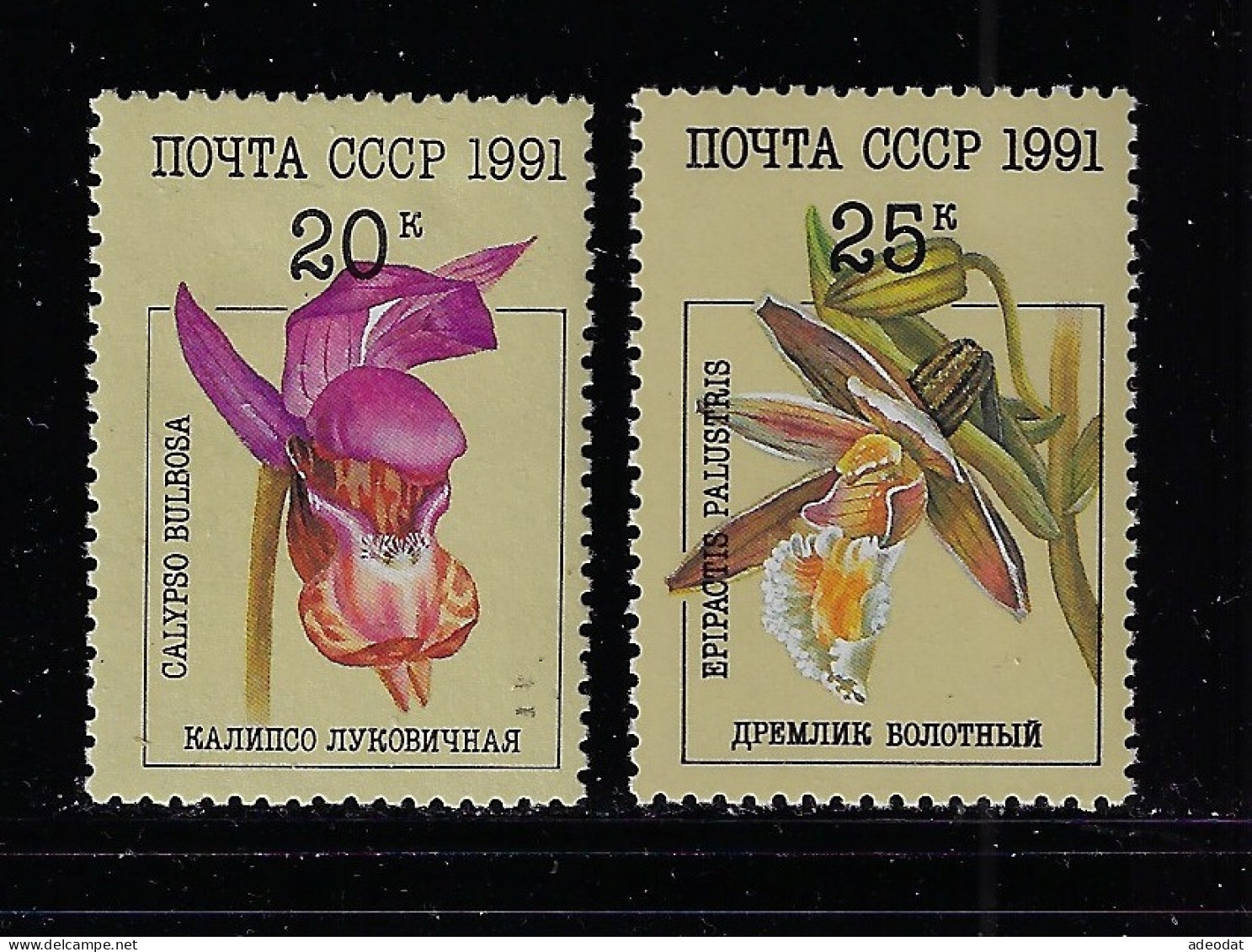 RUSSIA 1991 SCOTT #5997-5998  MH - Unused Stamps