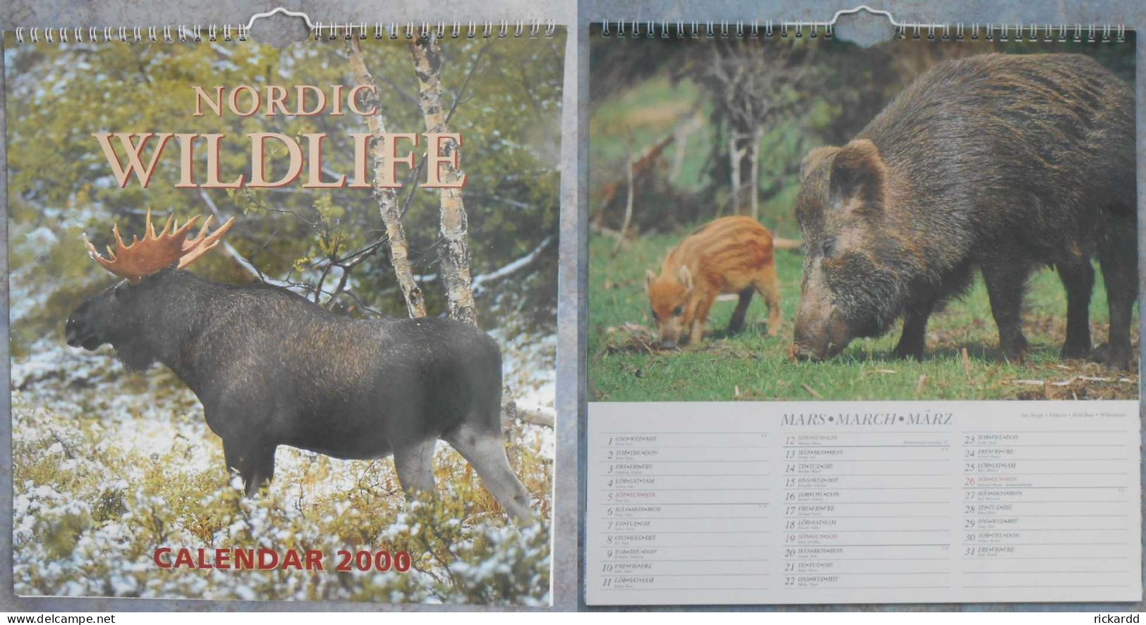 Calendar: Nordic Wildlife 2000 - Big : 1991-00