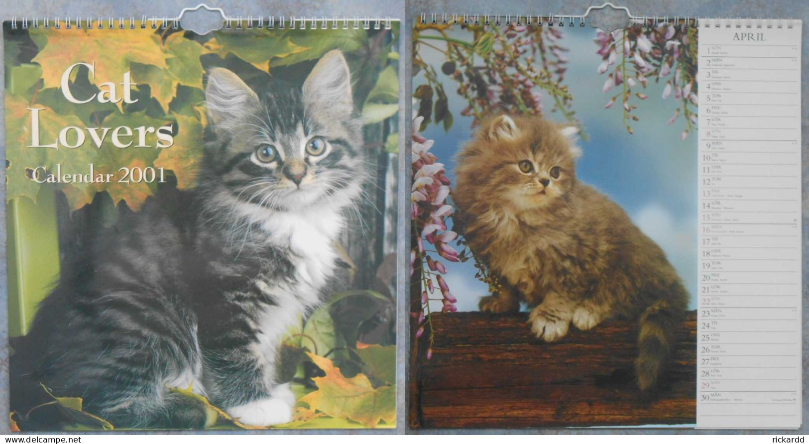 Calendar: Cat Lovers 2001 - Formato Grande : 2001-...