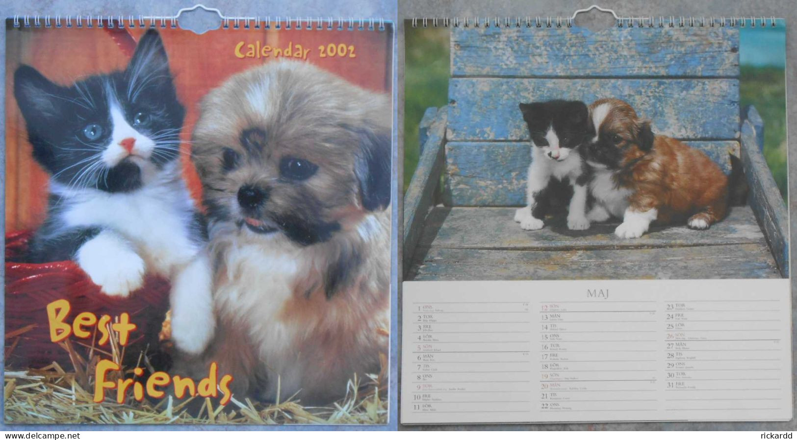 Calendar: Best Friends 2002 - Formato Grande : 2001-...