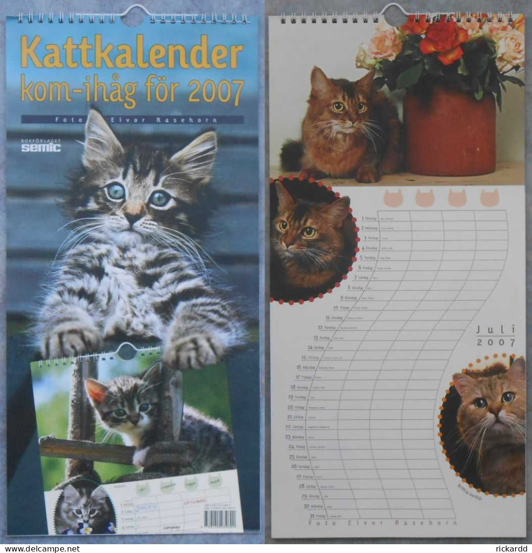 Calendar: Kattkalender Kom-ihåg För 2007 - Tamaño Grande : 2001-...