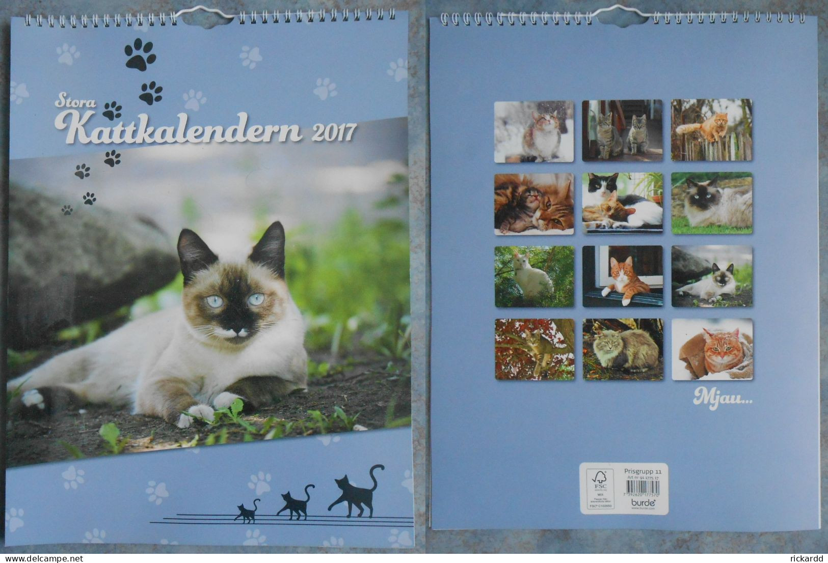 Calendar: Stora Kattkalendern 2017 - Tamaño Grande : 2001-...