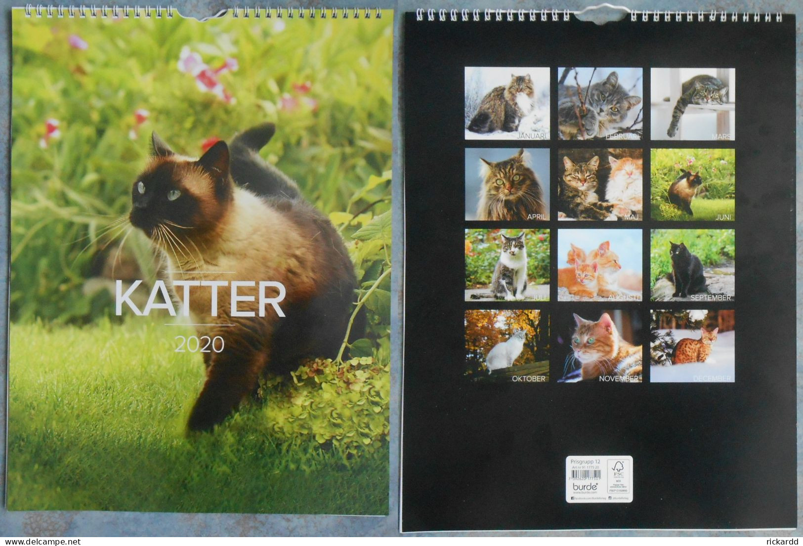 Calendar: Katter 2020 - Groot Formaat: 2001-...