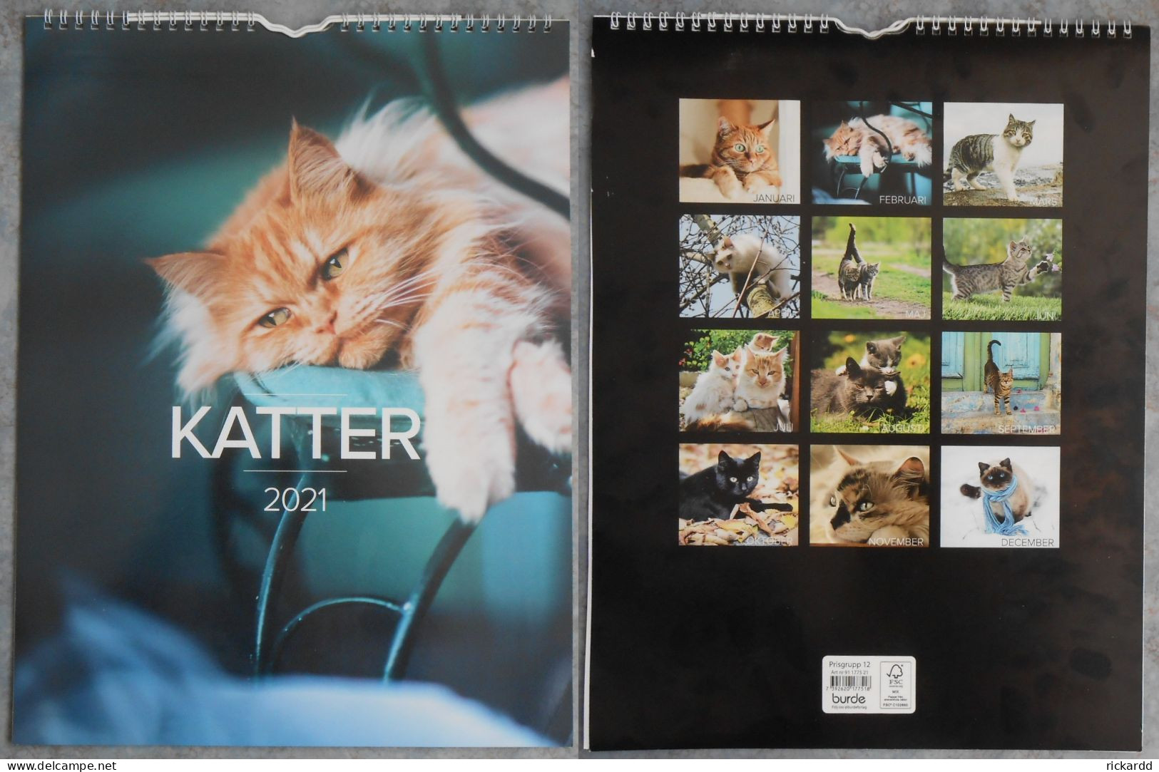 Calendar: Katter 2021 - Tamaño Grande : 2001-...