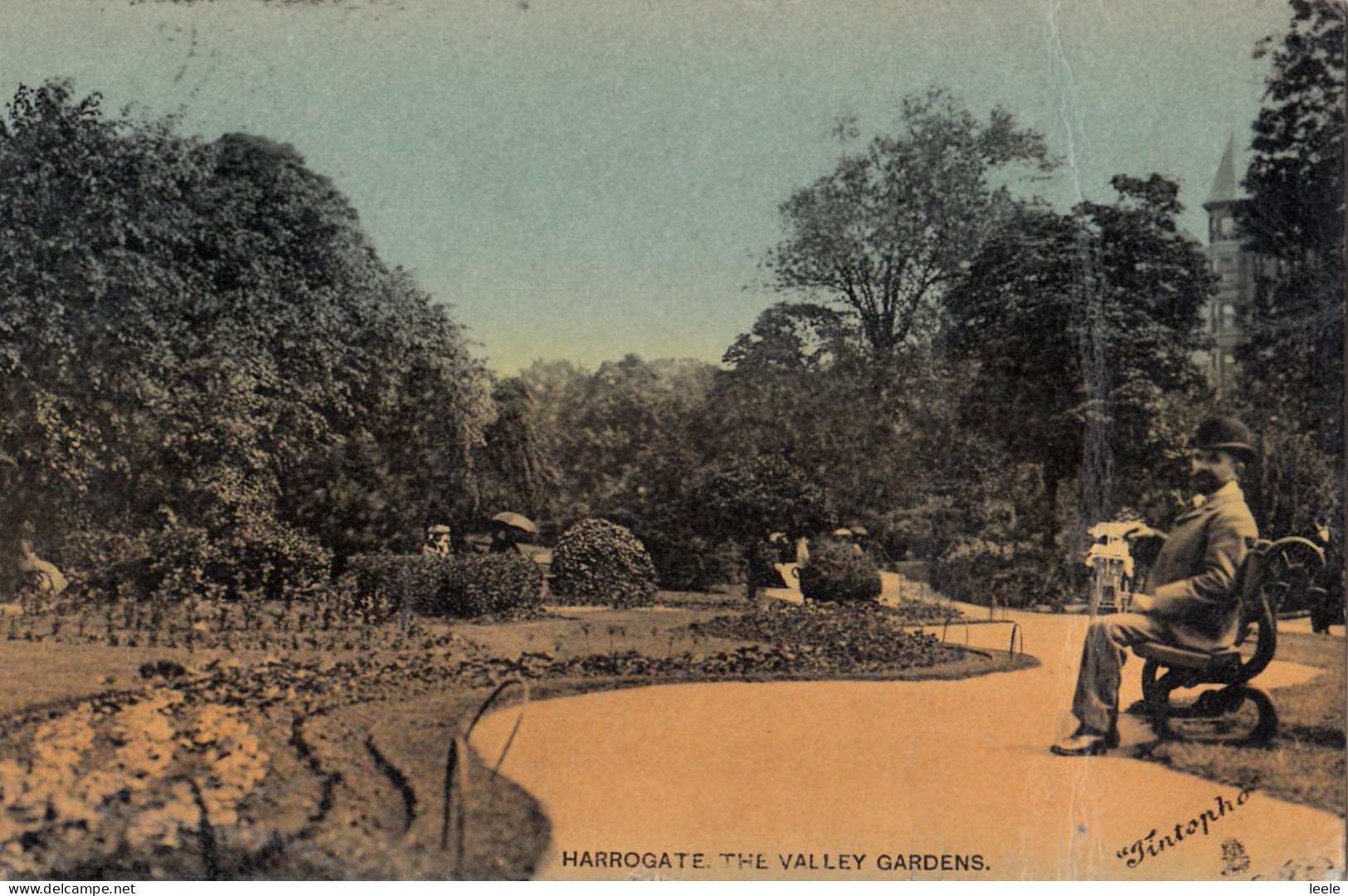 DB61. Antique Tucks Postcard.  The Valley Gardens, Harrogate. Yorkshire - Harrogate