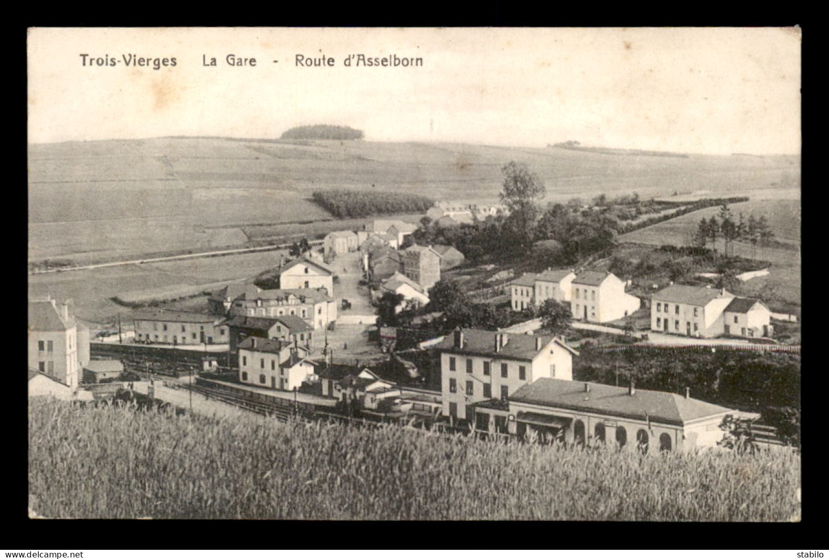 LUXEMBOURG - TROISVIERGES - LA GARE DE CHEMIN DE FER ROUTE D'ASSELBORN - Troisvièrges