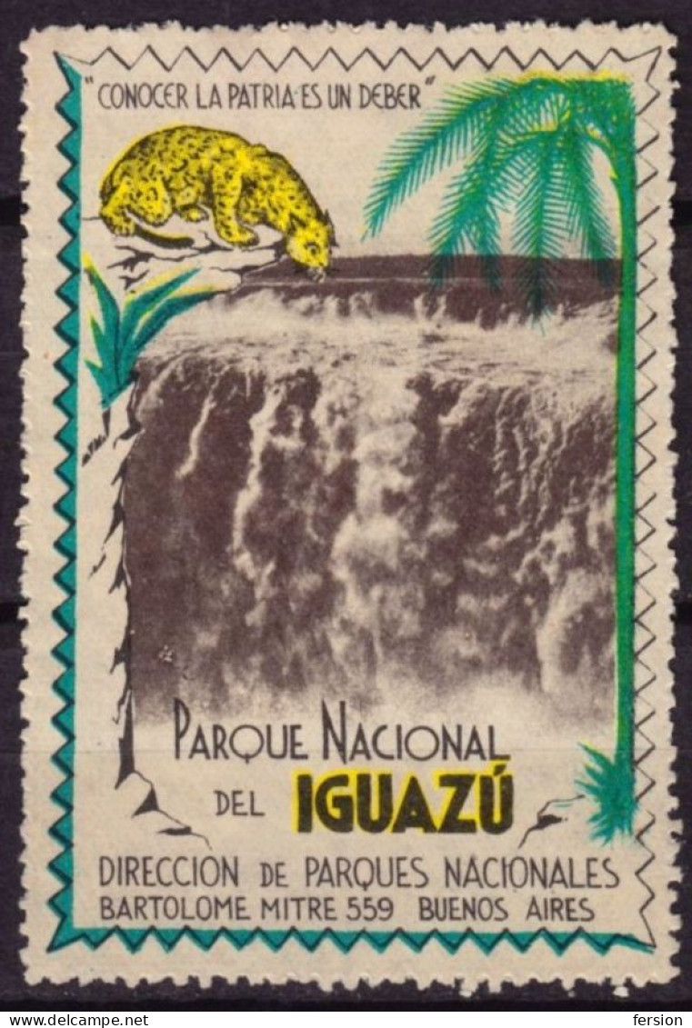 JAGUAR / Waterfall - Iguazú National Park - Argentina Buenos Aires - Cinderella / Label / Vignette - Used - Félins