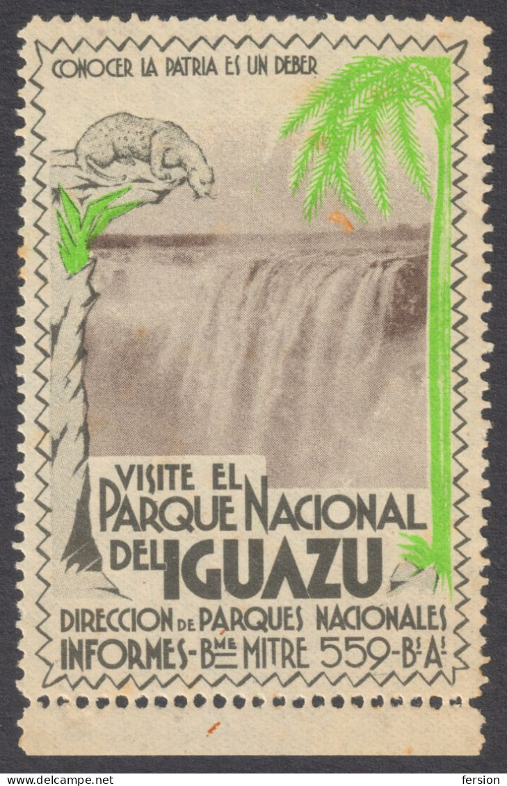 JAGUAR / Waterfall River PALM Tree - Iguazú National Park - Argentina Buenos Aires - Cinderella Label Vignette - MH - Big Cats (cats Of Prey)