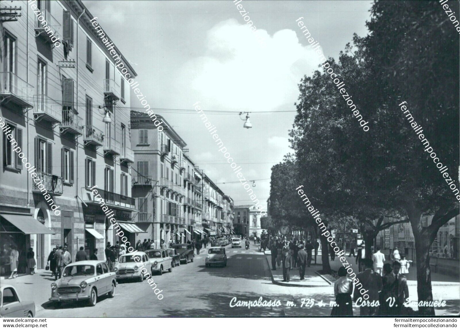 Cl402 Cartolina Campobasso Citta' Corso Vittorio Emanuele Molise - Campobasso