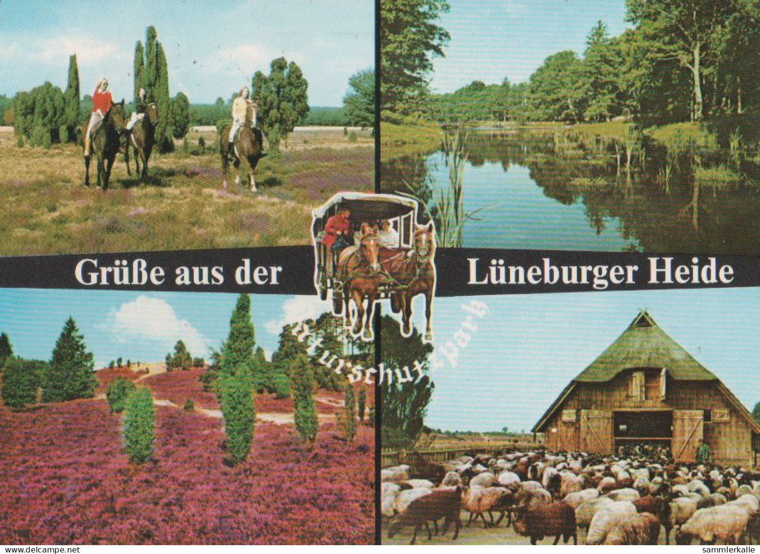 26982 - Lüneburger Heide - 1978 - Lüneburger Heide