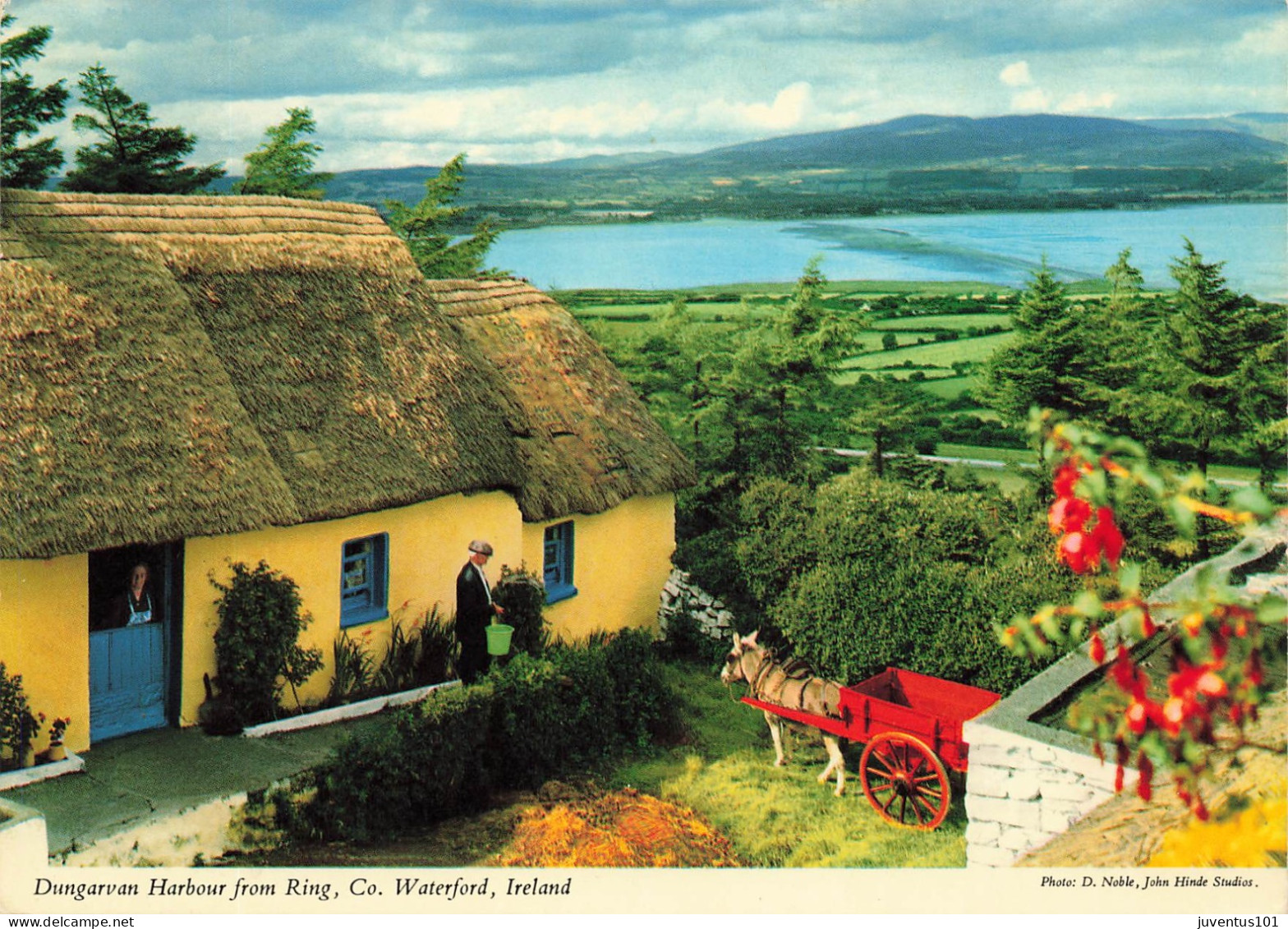 CPSM Dungarvan Harbour From Ring     L2827 - Waterford