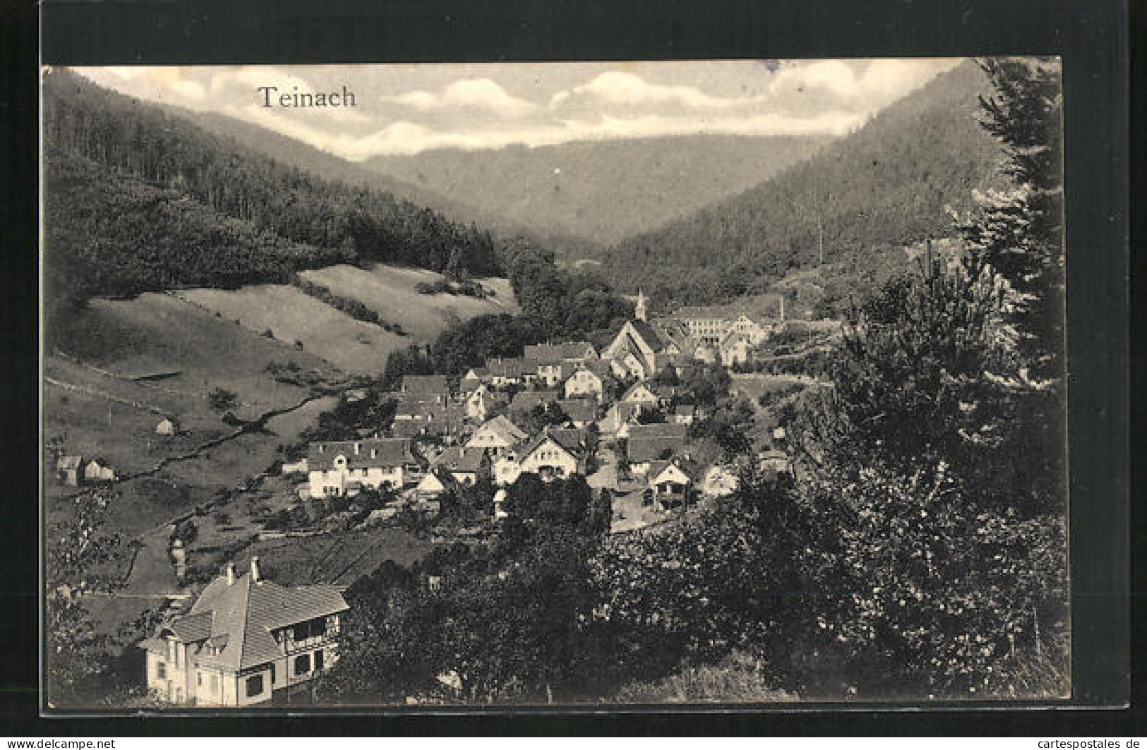AK Teinach, Panoramablick Vom Berg  - Bad Teinach