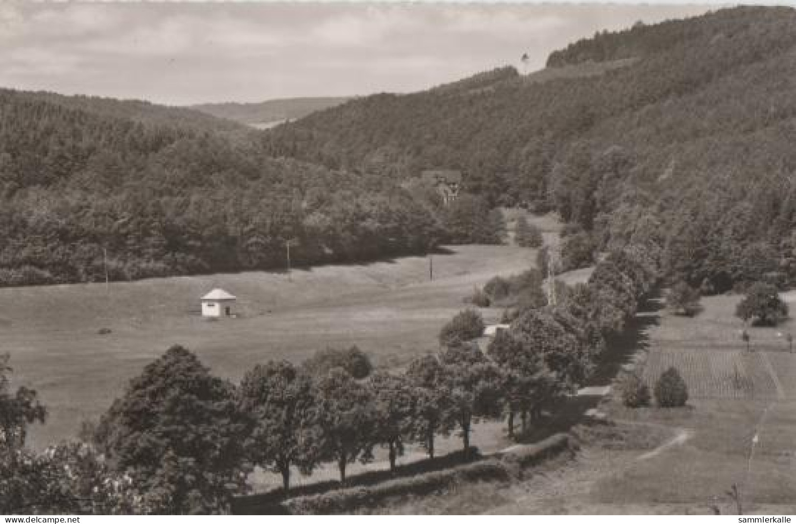 12070 - Bad König - Langenbrombacher Tal - Ca. 1935 - Bad Koenig