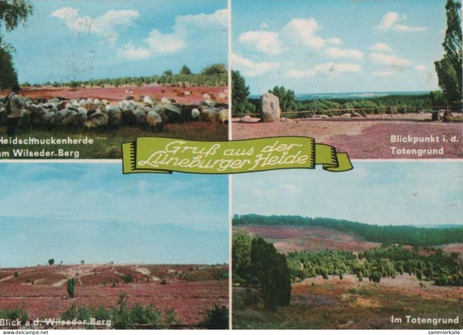 82889 - Lüneburger Heide - U.a. Blick A.d. Wilseder Berg - Ca. 1975 - Lüneburger Heide