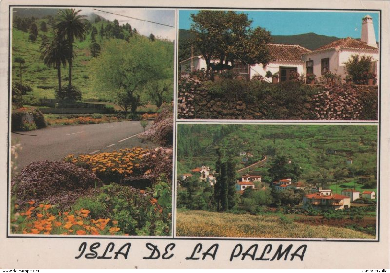 121184 - La Palma - Spanien - 3 Bilder - La Palma