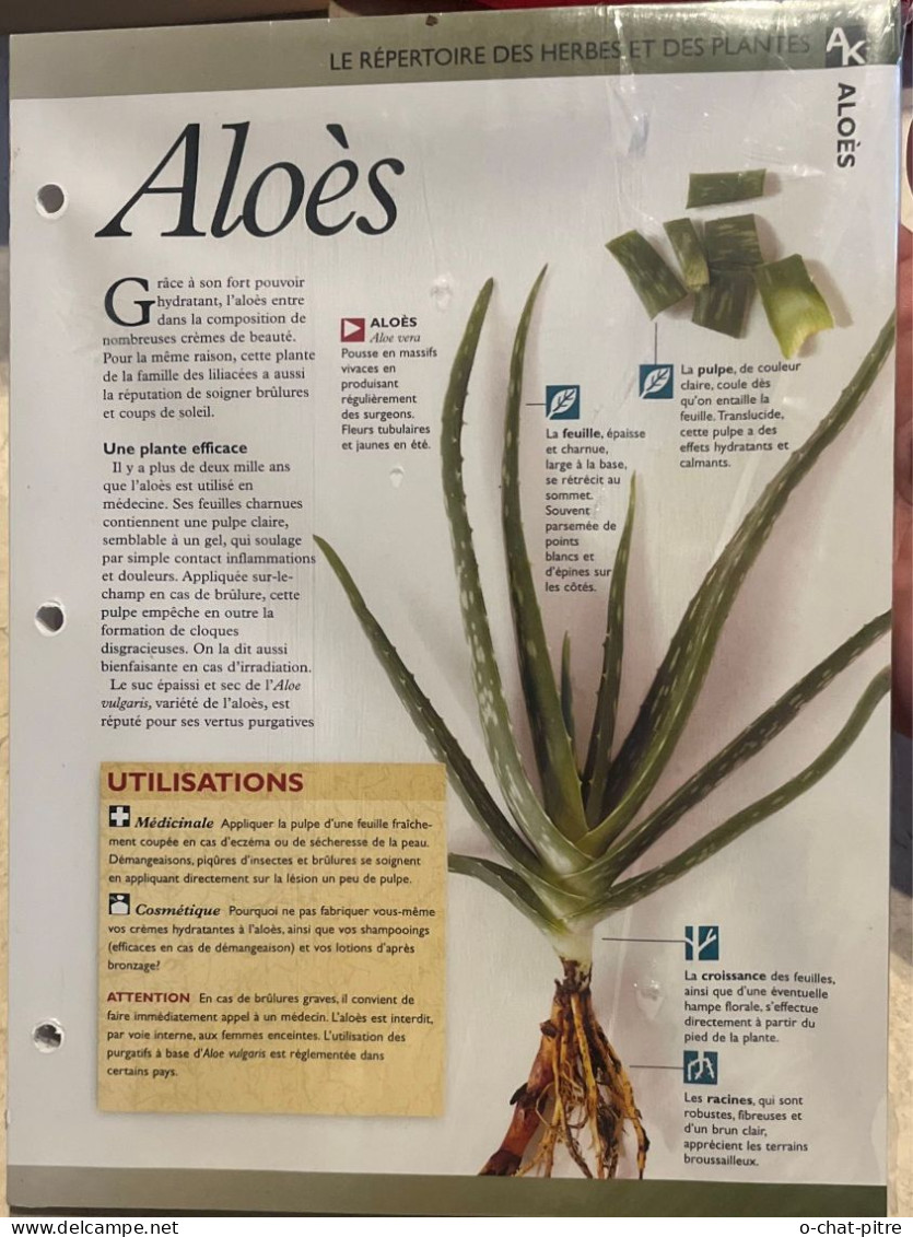 Le Repertoire Des Herbes Et Des Plantes - Jardinage