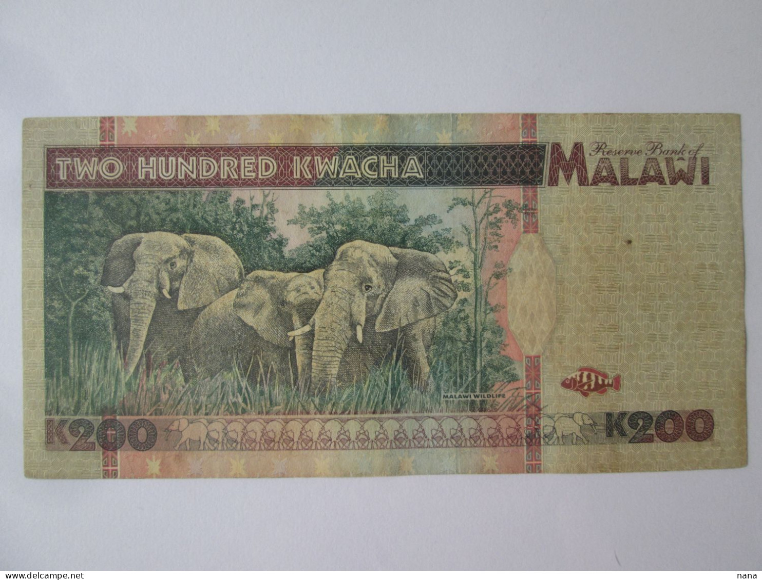 Rare! Malawi 200 Kwacha 1995,see Pictures - Malawi