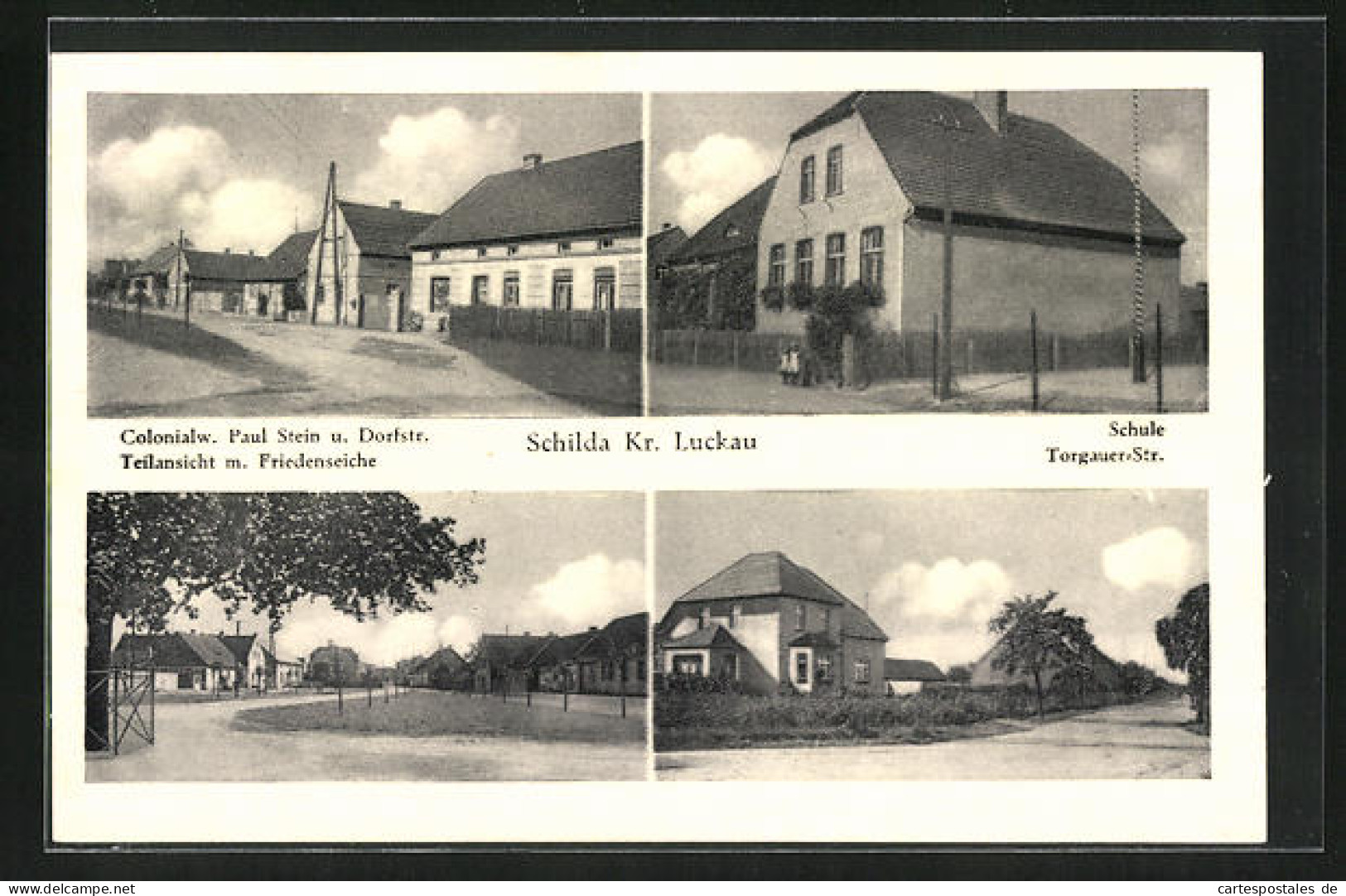 AK Schilda / Luckau, Torgauer Strasse, Kolonialwarengeschäft Paul Stein, Friedenseiche  - Torgau
