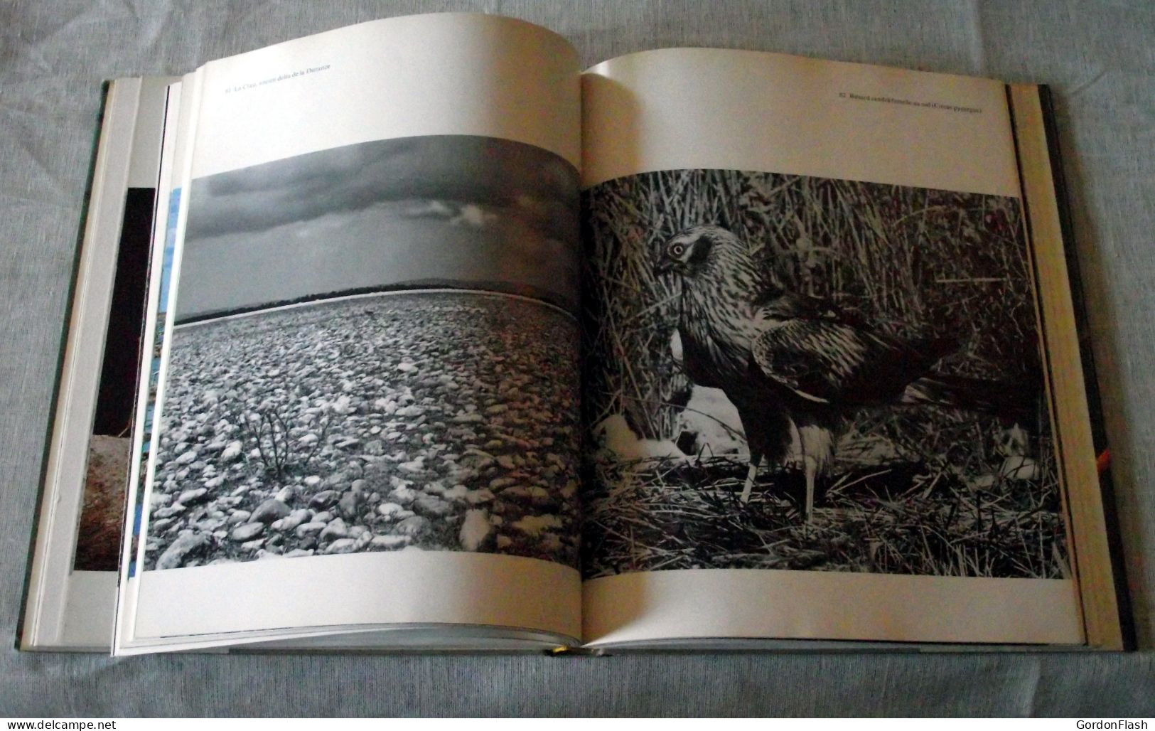 Livre : Camargue - Provence - Alpes-du-Sud