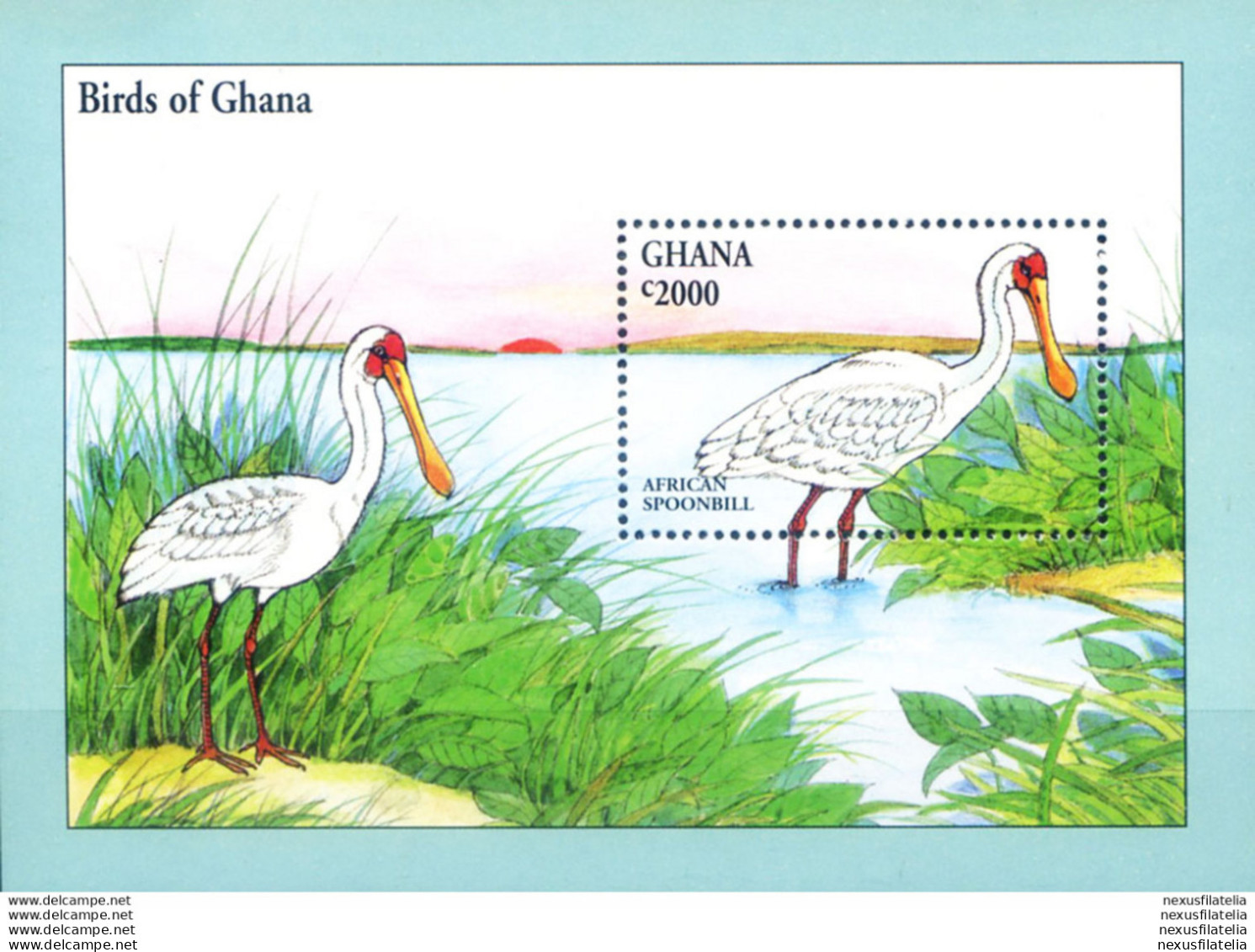 Fauna. Uccelli. Spatola 1994. - Ghana (1957-...)