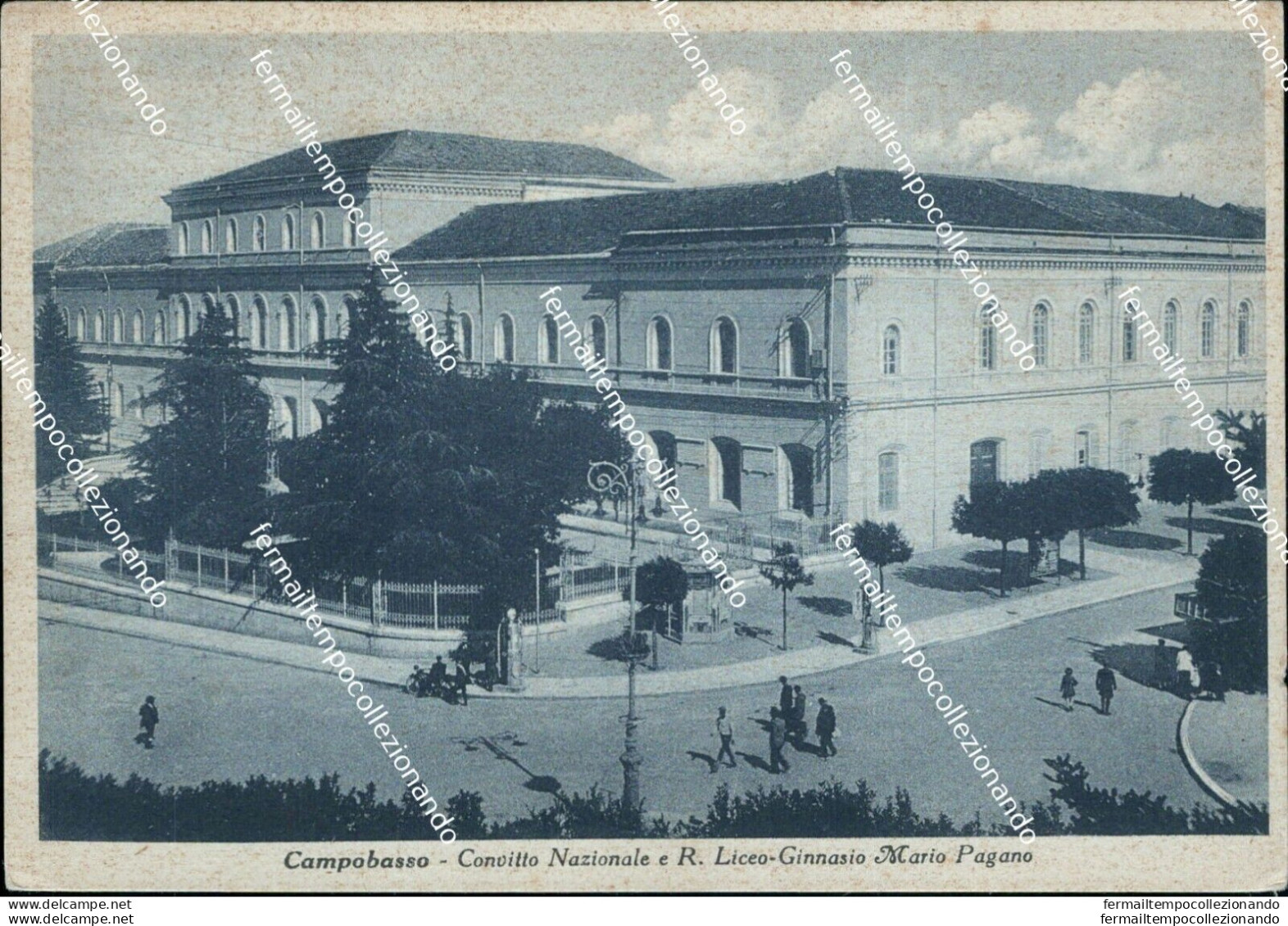 Cl527 Cartolina Campobasso Convitto Nazionale E R.liceo Ginnasio Mario Pagano - Campobasso