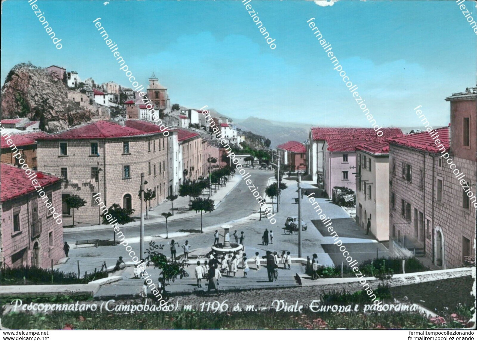 Cl542 Cartolina Pescopennataro Viale Europa E Panorama Provincia Di Campobasso - Campobasso