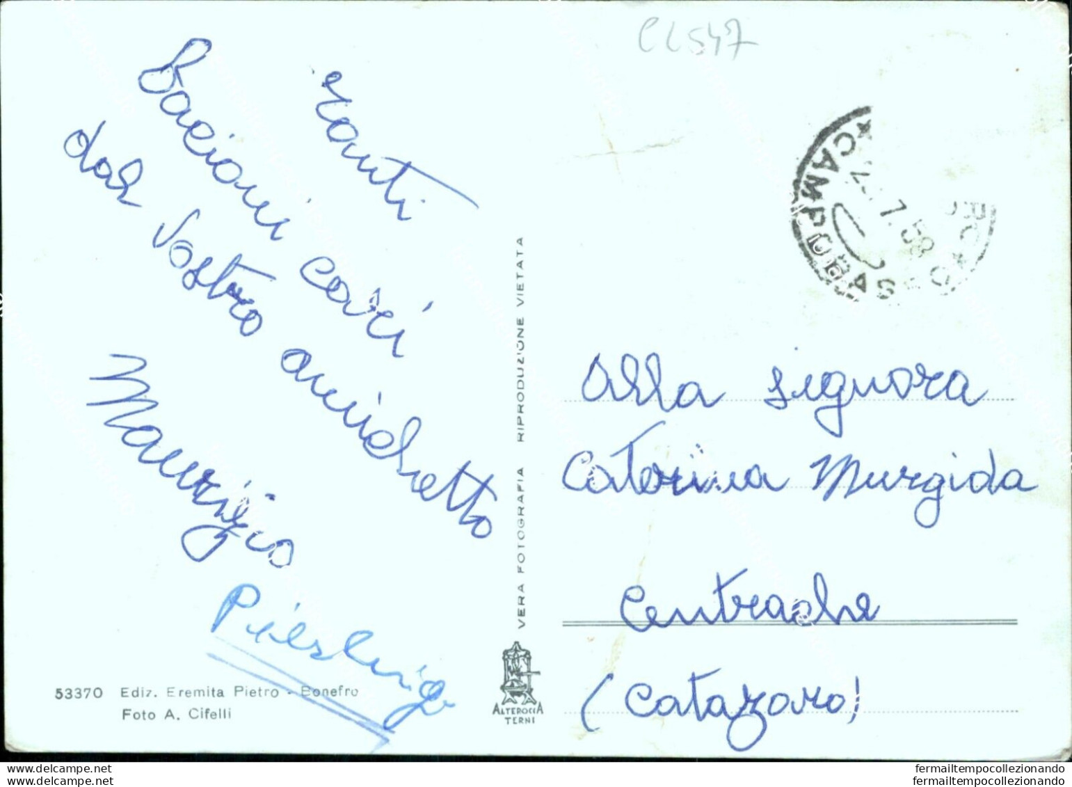 Cl547 Cartolina Bonefro Via Xx Settembre Provincia Di Campobasso Molise - Campobasso