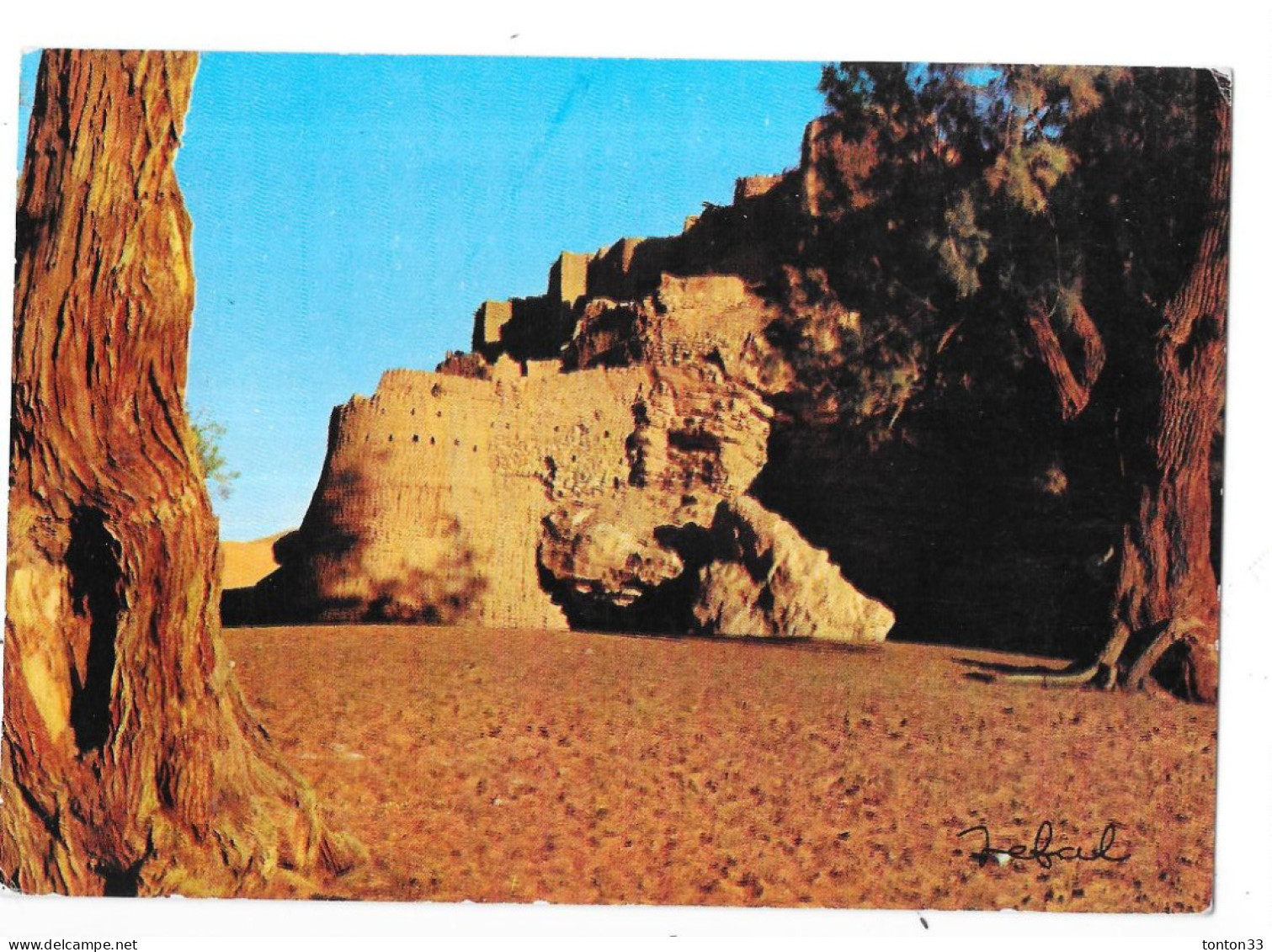 COLOMB BECHAR - ALGERIE -  Taghit  - TOUL 5 - - Bechar (Colomb Béchar)