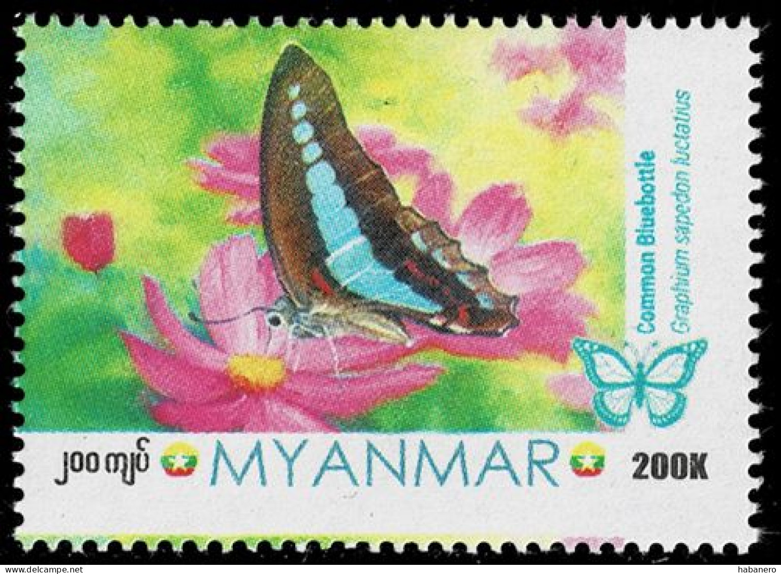 MYANMAR 2024 COMMON BLUEBOTTLE BUTTERFLY MINT STAMP ** - Vlinders
