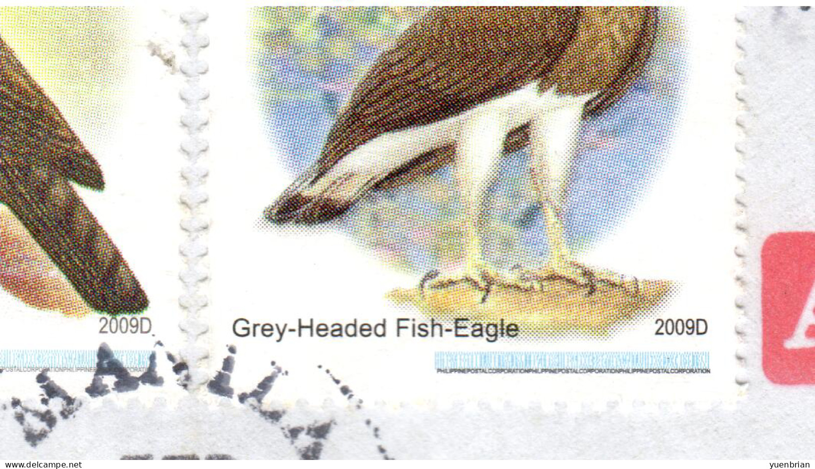 Philippines 2010, Bird, Birds, Eagle (2009D), Circulated Cover, Good Condition - Águilas & Aves De Presa