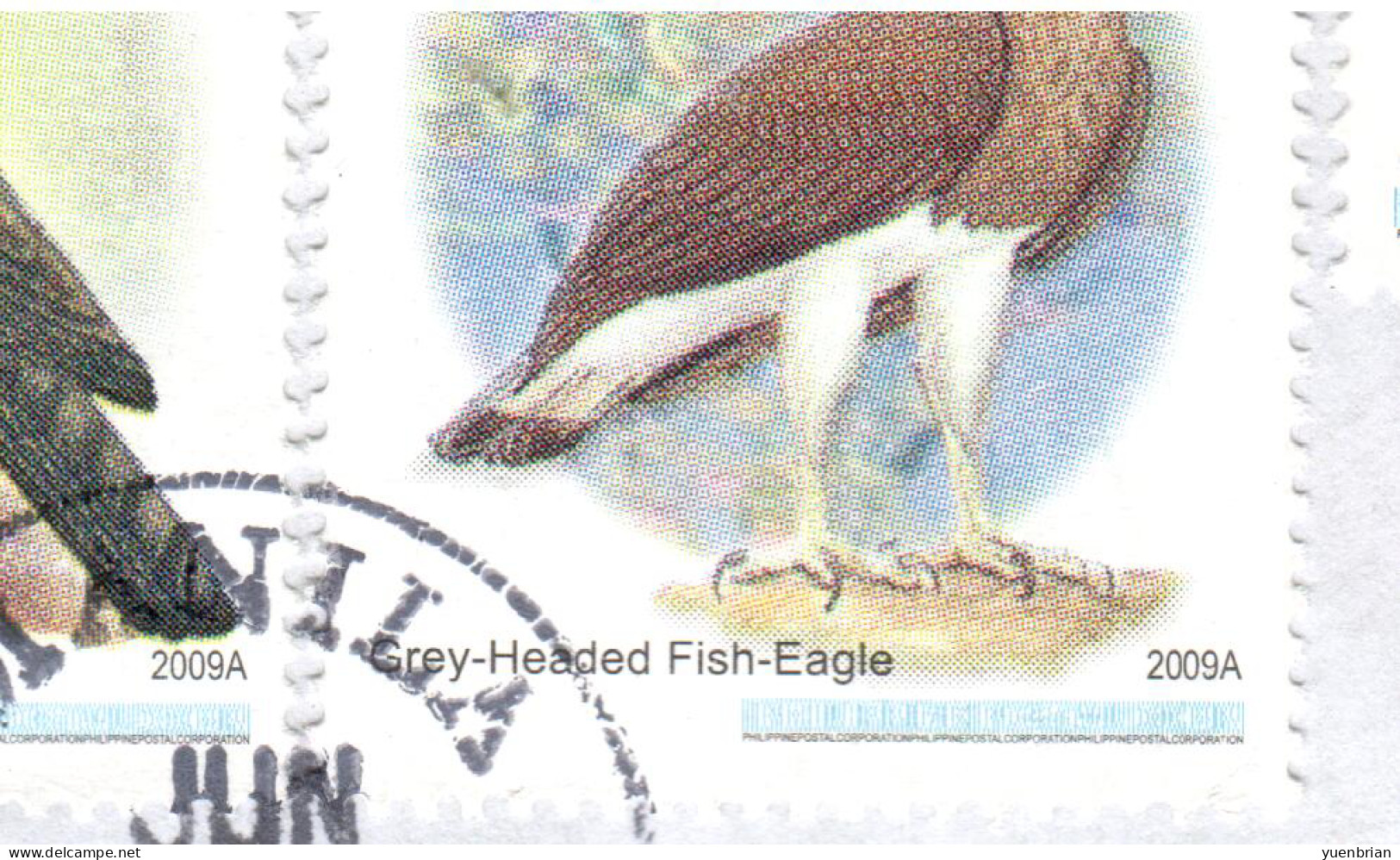 Philippines 2009, Bird, Birds, Eagle (2009A), Circulated Cover, Good Condition - Aigles & Rapaces Diurnes