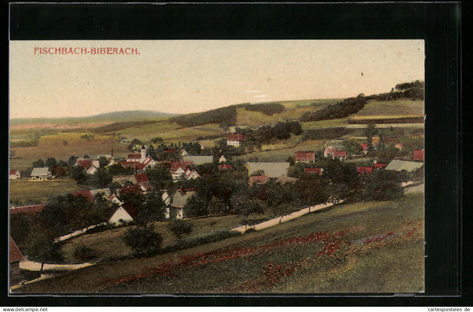 AK Fischbach-Biberach, Ortsansicht Aus Der Vogelschau  - Biberach