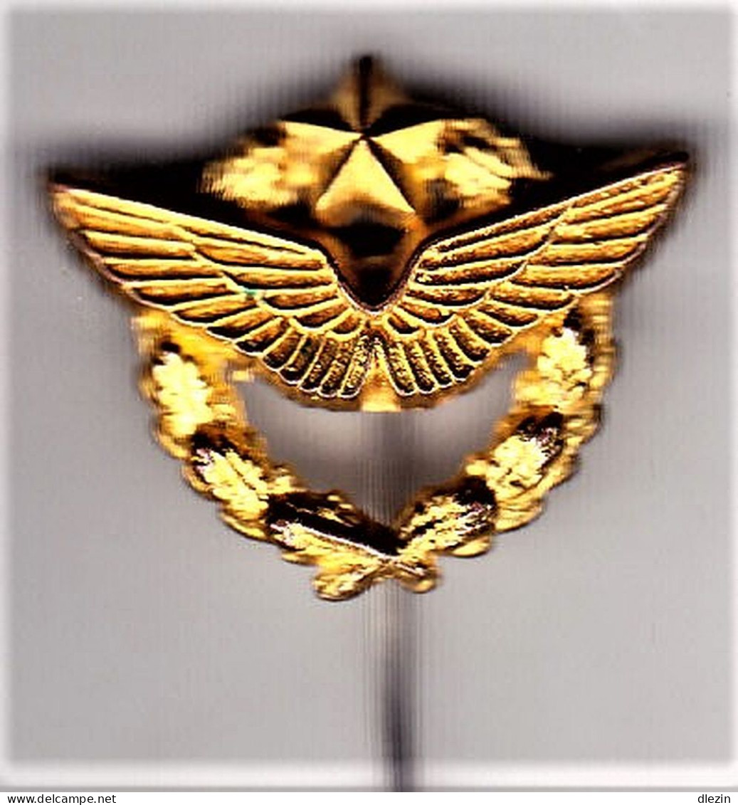 Pilote Armée De L'Air. Brevet. Doré à L'or Fin. Insigne De Boutonnière épinglette. SM. - Armée De L'air