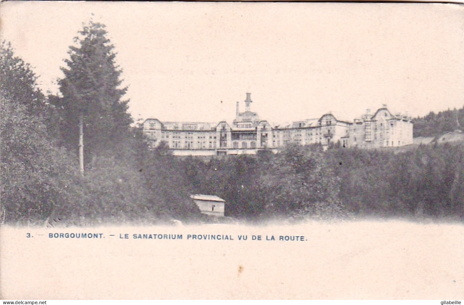 Stoumont - BOURGOUMONT - Le Sanatorium Provincial Vu De La Route - Stoumont