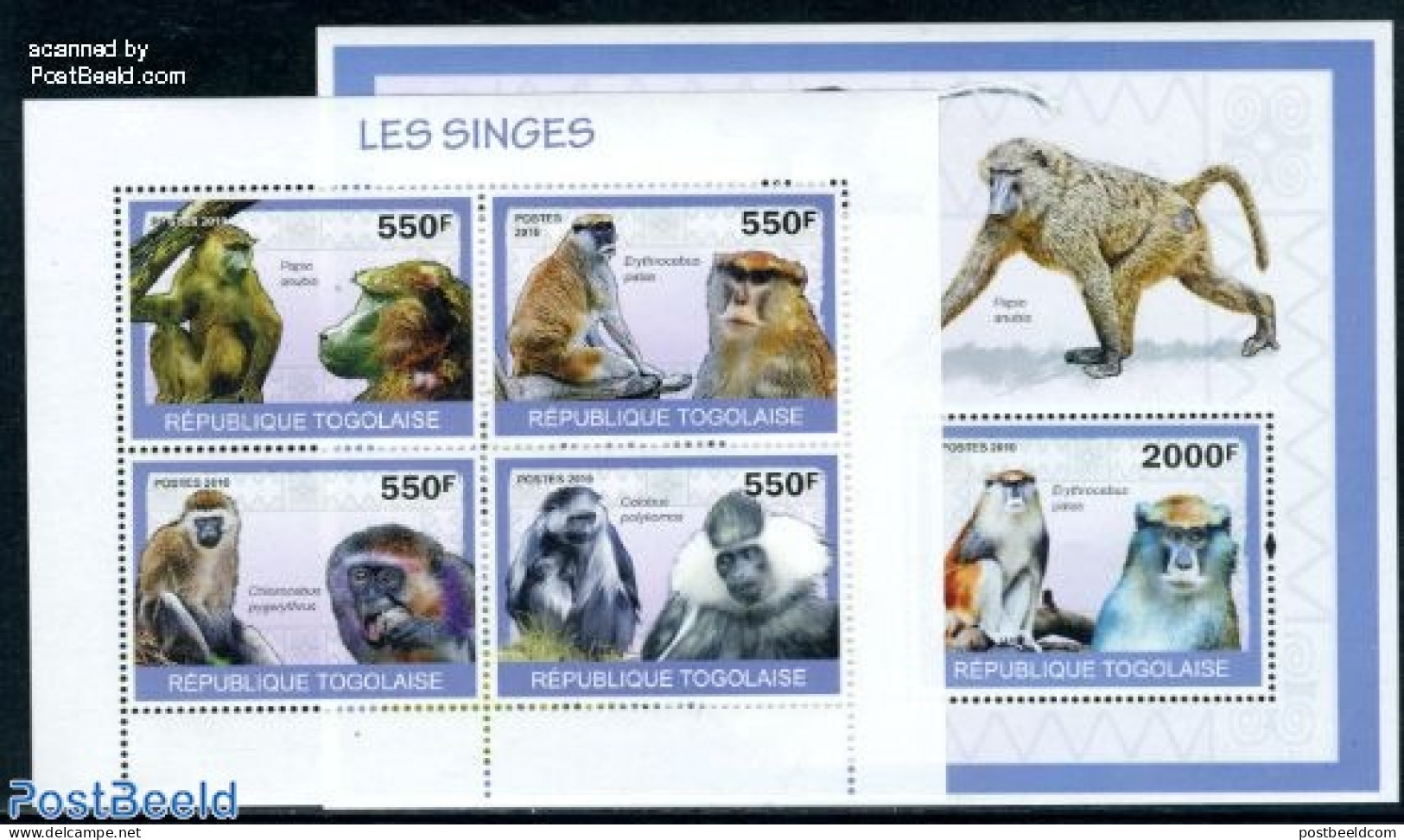 Togo 2010 Monkeys 5v (2 S/s), Mint NH, Nature - Animals (others & Mixed) - Monkeys - Togo (1960-...)