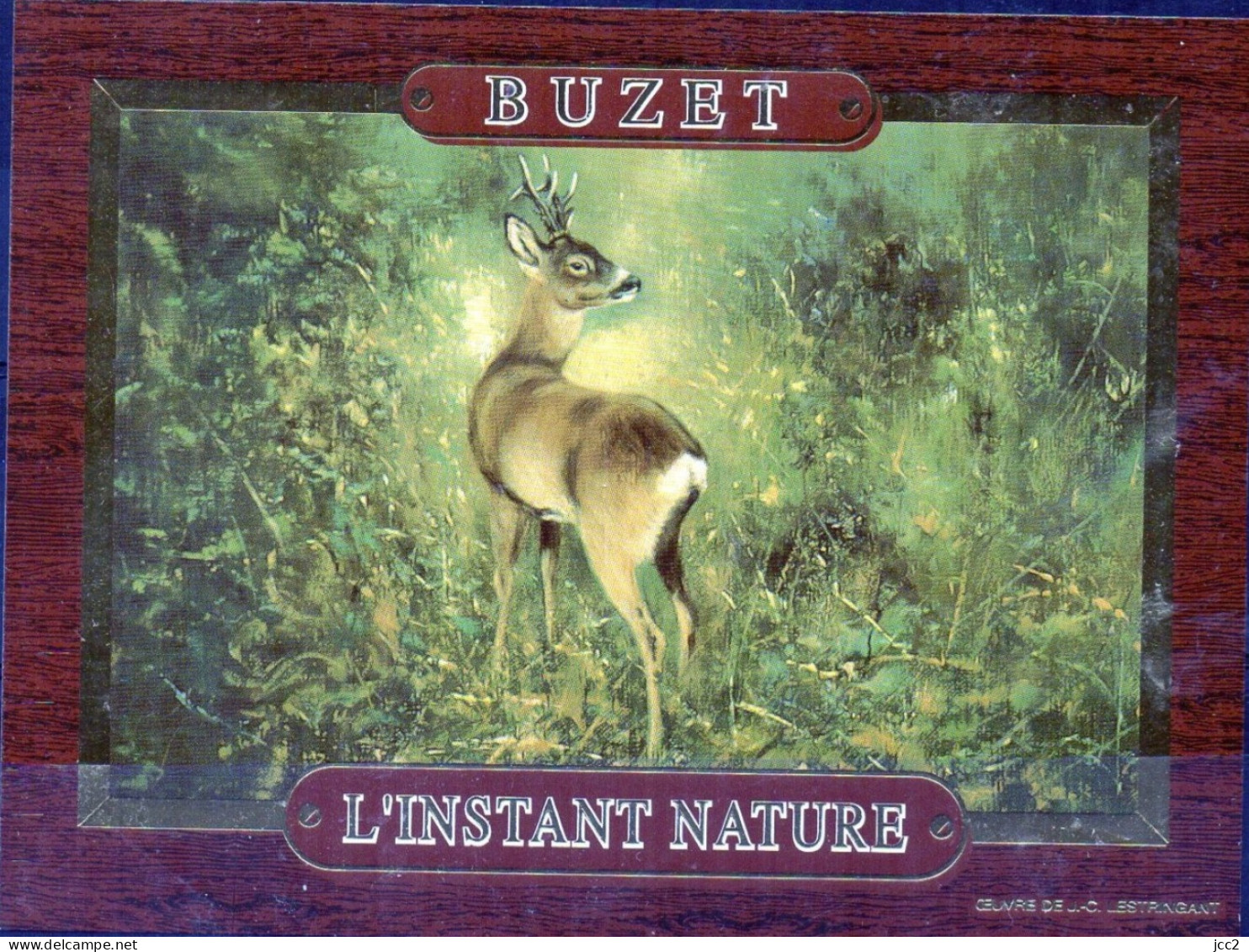 CERF - L'Instant Nature - Cerfs