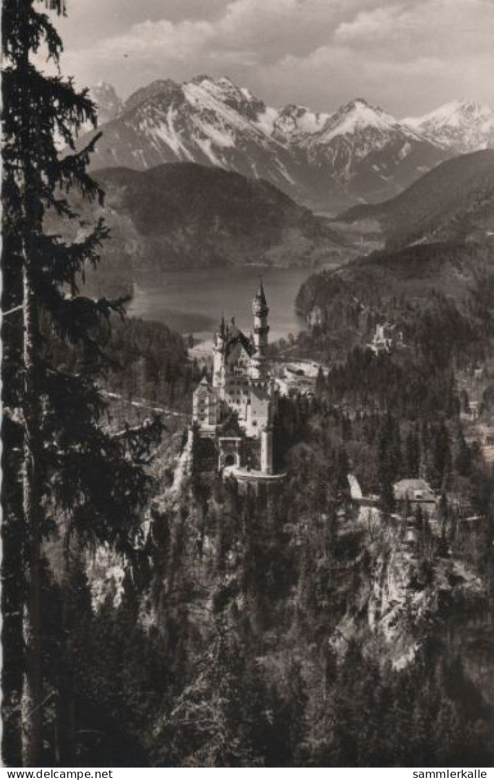 72594 - Schwangau Neuschwanstein - Ca. 1960 - Fuessen