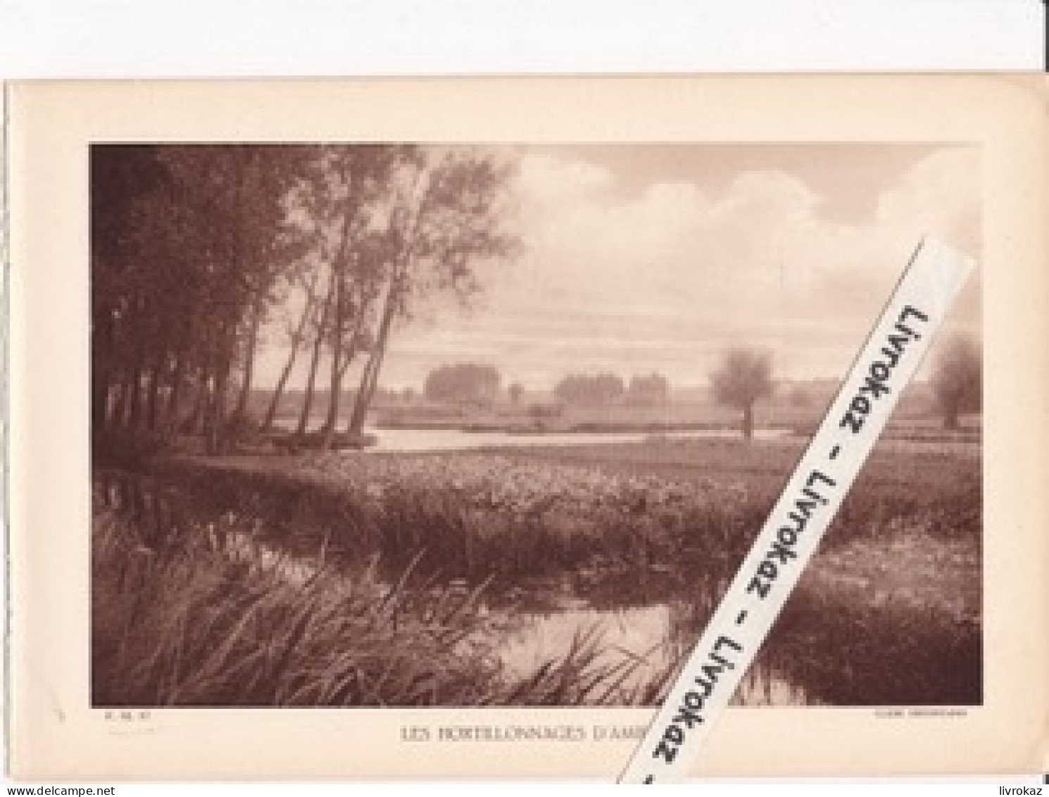 Les Hortillonnages D'Amiens (Somme), Photo Sépia Extraite D'un Livre Paru En 1933 - Non Classificati