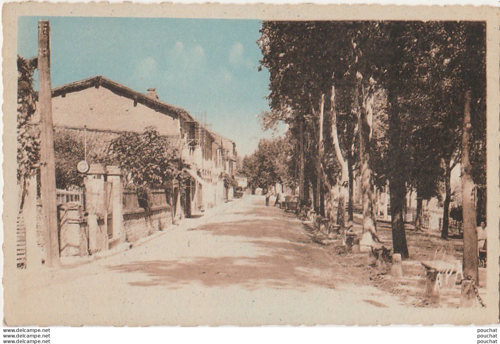 H10-82) MOLIERES (TARN ET GARONNE) LES PROMENADES - (2 SCANS)  - Molieres