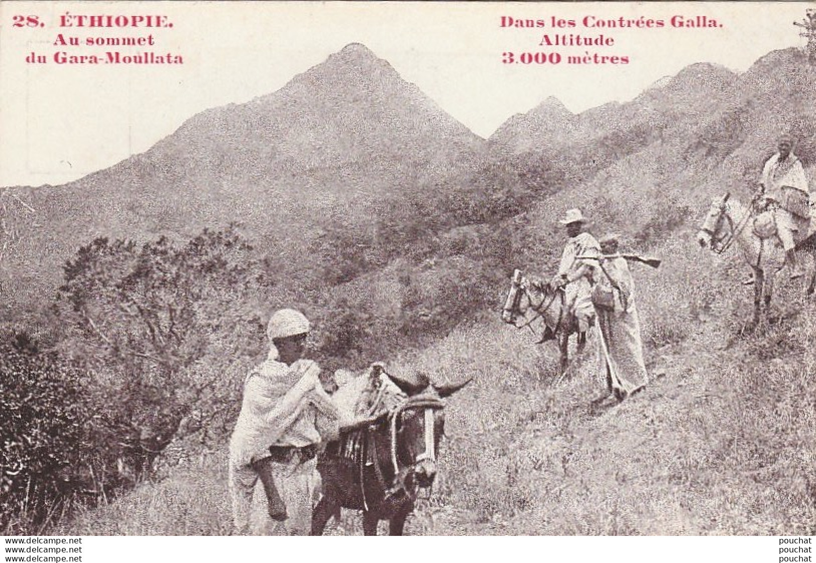 H12- ETHIOPIE DANS LES CONTREES GALLA - AU SOMMET DU GARA MOULLATA  - (2 SCANS) - Etiopia