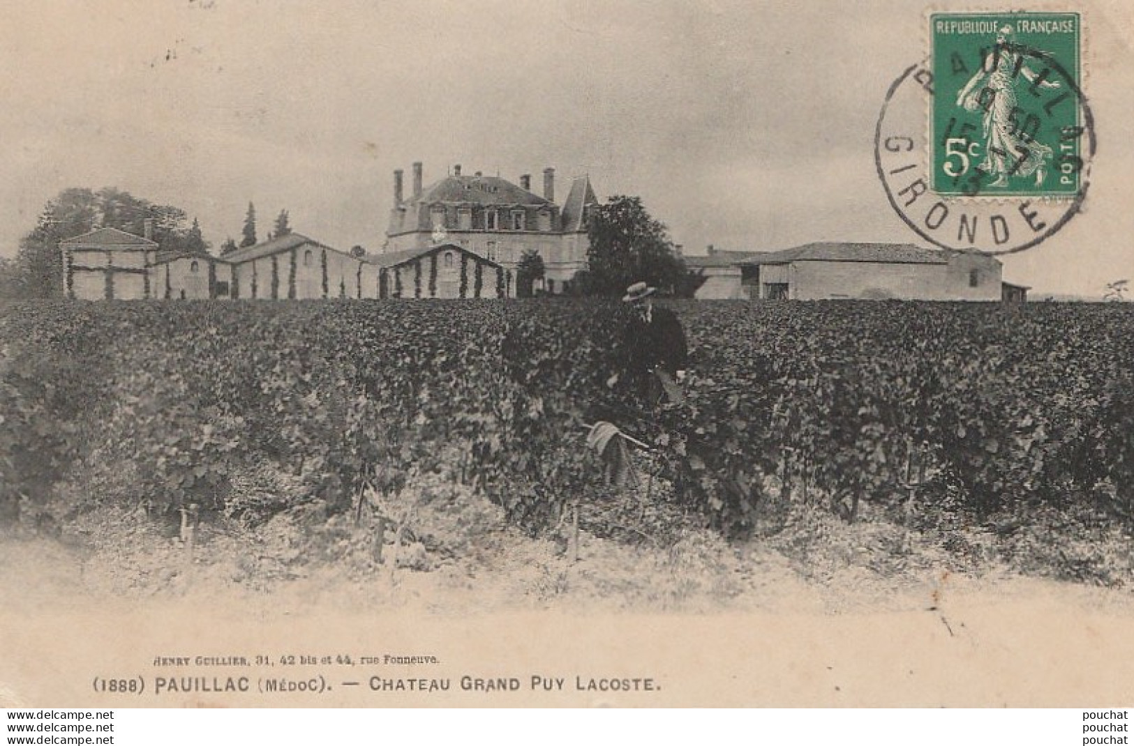 K10- 33) PAUILLAC (MEDOC) CHATEAU GRAND PUY LACOSTE  - (ANIMEE - VIGNES) - Pauillac