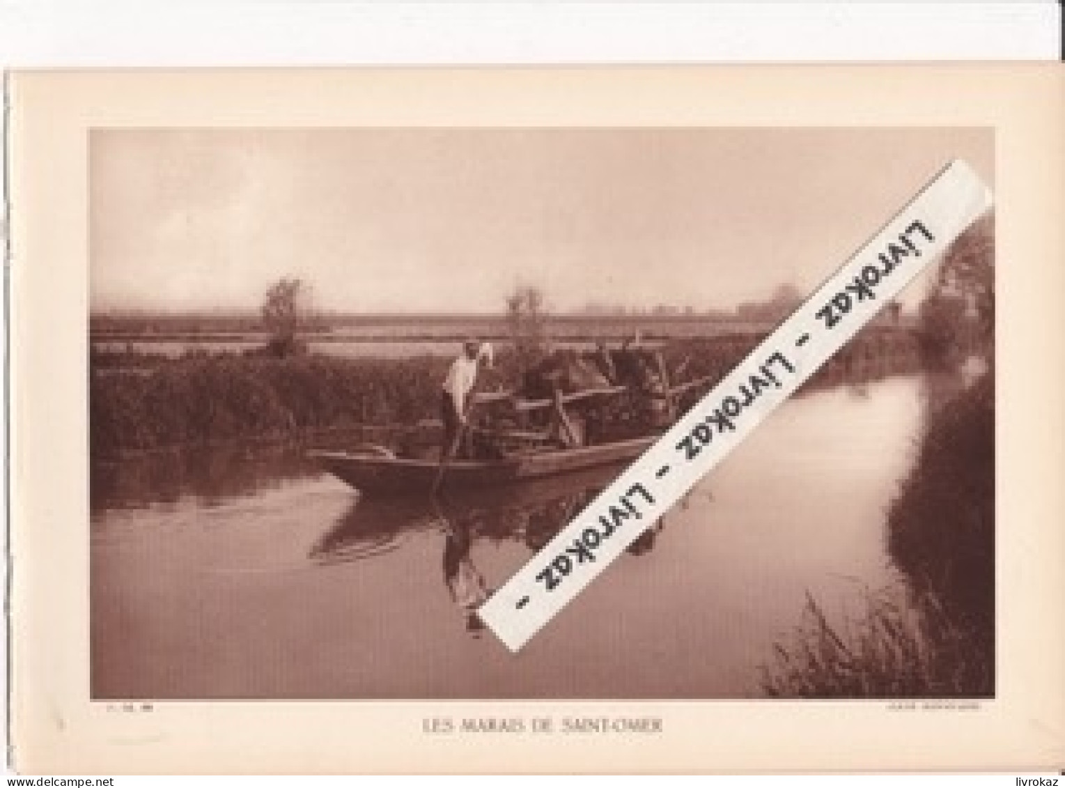 Marais De Saint-Omer, Cheval Sur Une Barque, Bâcove, Escute, Photo Sépia Extraite D'un Livre Paru En 1933, Aa - Zonder Classificatie