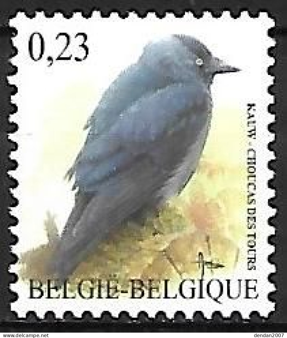 Belgium - MNH ** BUZIN - 2007 : Kauw - Western Jackdaw  -  Coloeus Monedula - Zangvogels