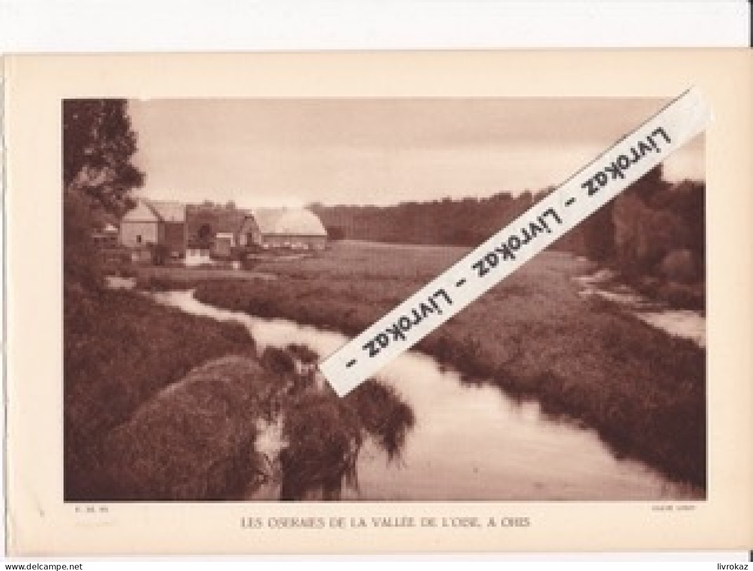 Oseraies De La Vallée De L'Oise, à Ohis (Aisne), Photo Sépia Extraite D'un Livre Paru En 1933, Osier, Vannerie - Non Classificati