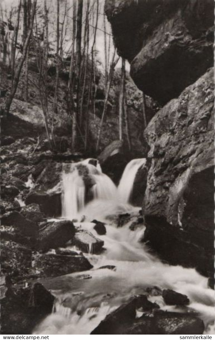 70629 - Zwingenberg - Partie In Der Wolfsschlucht - Ca. 1960 - Mosbach