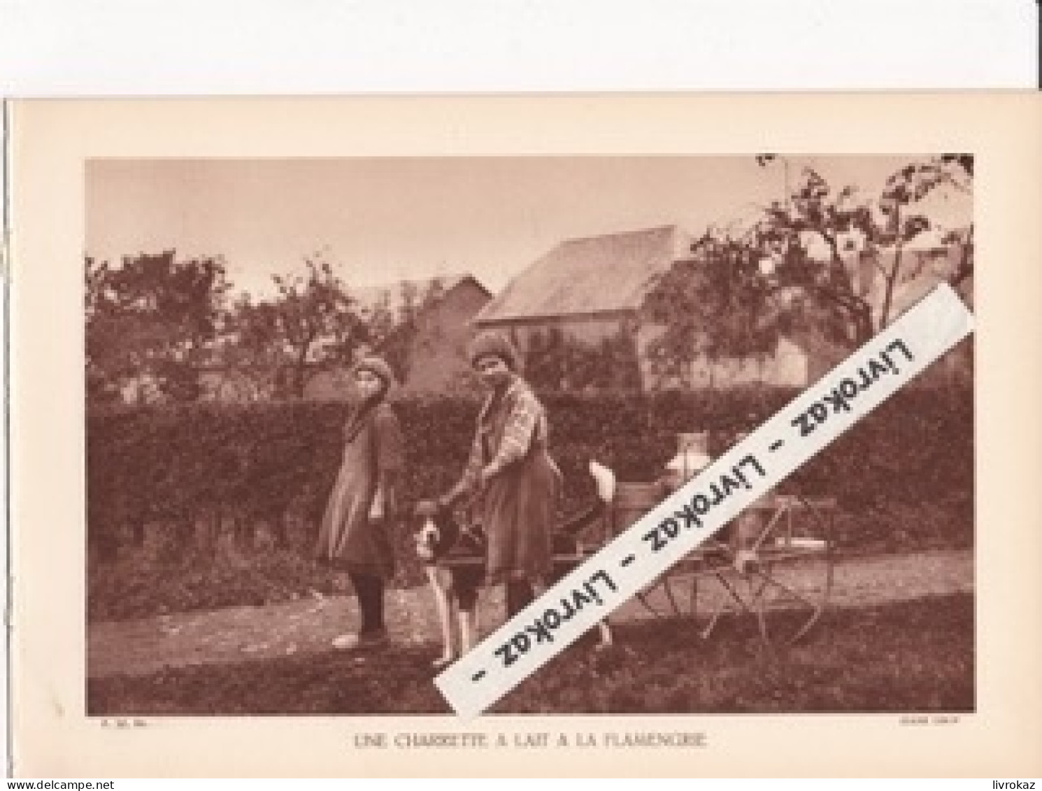 Charrette à Lait Attelée à Un Chien à La Flamengrie (Aisne), Photo Sépia Extraite D'un Livre Paru En 1933 - Sin Clasificación